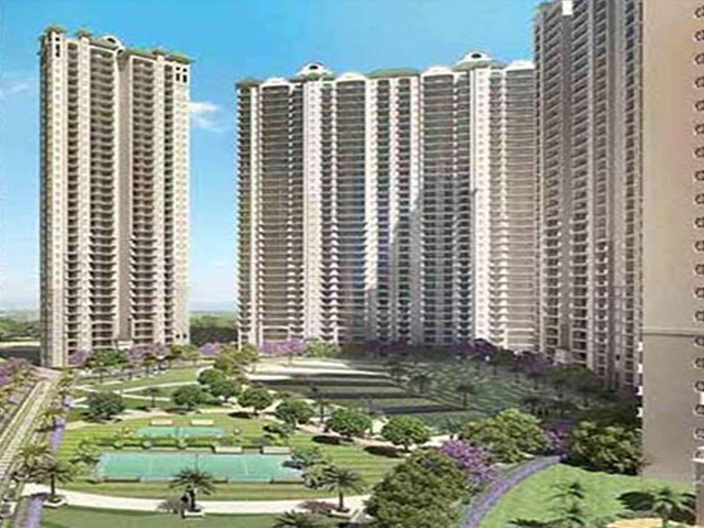 Gaur Group-1 (3)